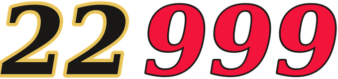 22999 logo